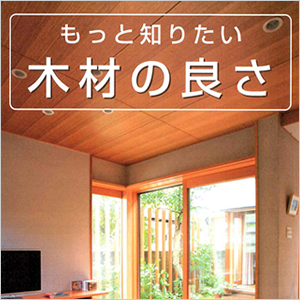 木のはなし
