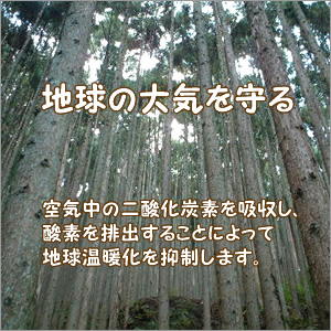 地球温暖化を抑制