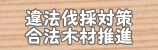 違法伐採対策・合法木材の利用推進