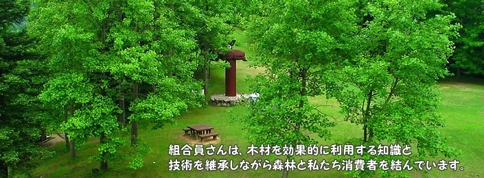 姫路木材協同組合