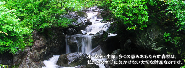 姫路木材協同組合