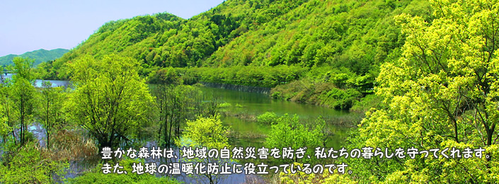 姫路木材協同組合