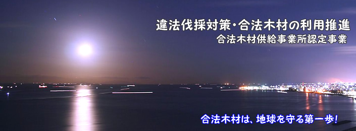 違法伐採対策・合法木材の利用推進