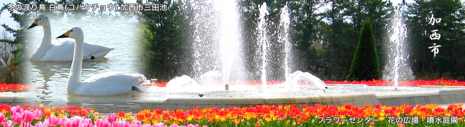 住宅リフォームのことならお任せください　㈲井上製材所