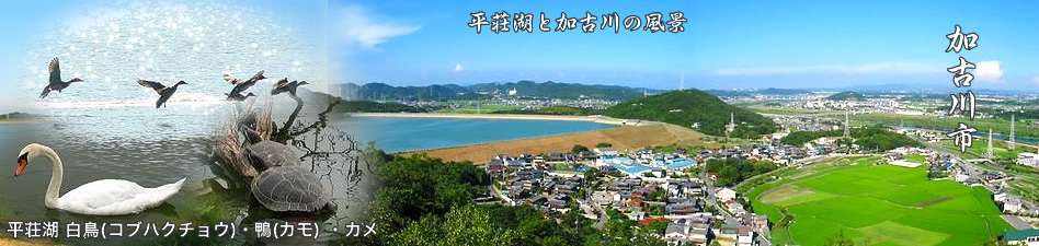 木材・新建材・合板、住宅設備機器、プレカットの岸本材木店です。