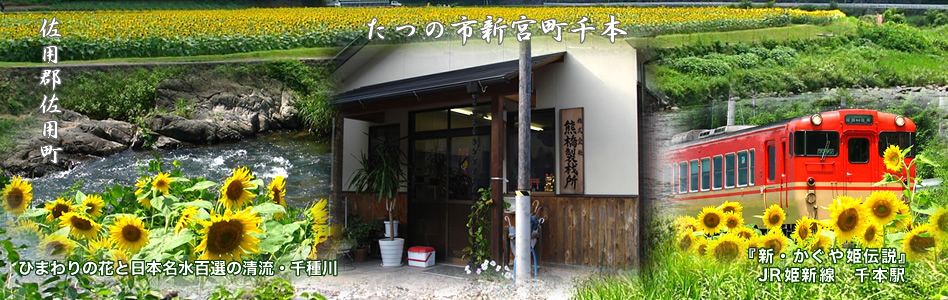 株式会社熊橋製材所