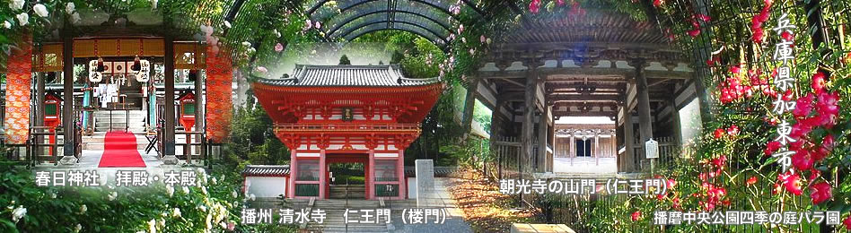 森紘木材株式会社